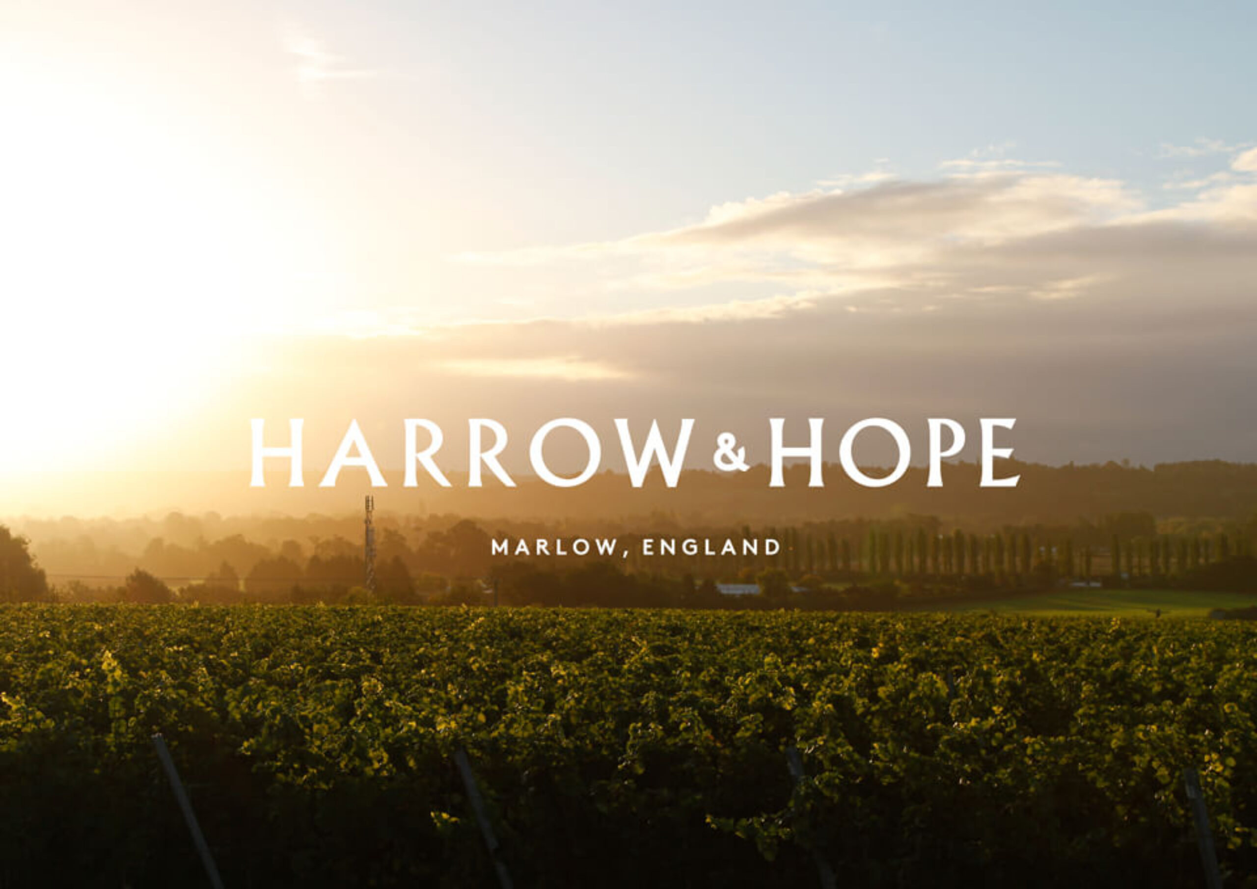 Brand proposition agency - Harrow & Hope